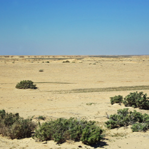 Stony desert