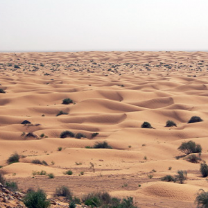 Sand dunes, Ksar Ghilane