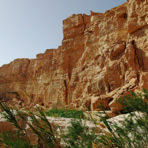 Tamerza, the canyon below cascade