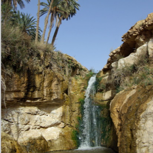 Tamerza, waterfall