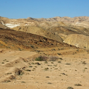 Desert around Chebika