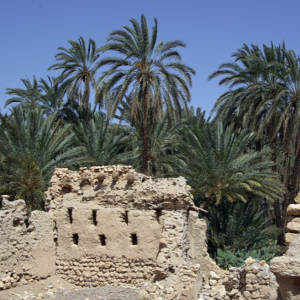 Mides Old Town