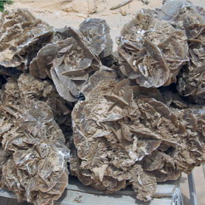 Desert Rose