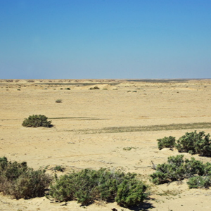 Stony desert between Tamerza and Tozeur