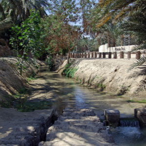 Irrigation ditch in the Palmeraie