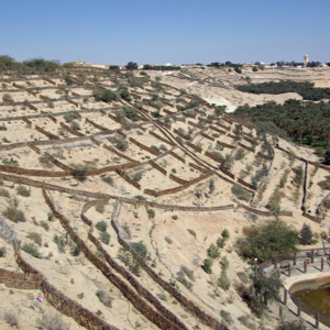 Corbeille, Nefta