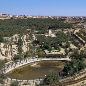 Corbeille, Nefta