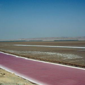 Chott el Jerid