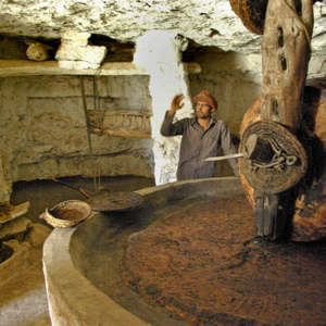 Douiret - 200 year old olive press