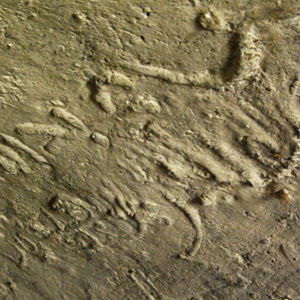 Ksar Ezzahra