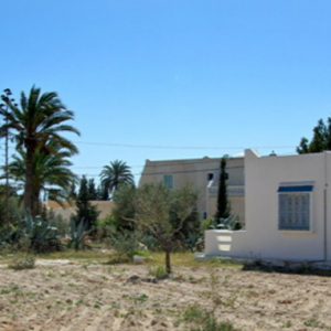 Modern houses, Djerba
