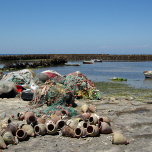 Djerba - fishing at Borj Jillij