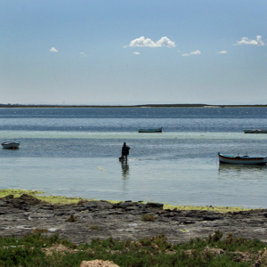 Djerba - fishing at Borj Jillij
