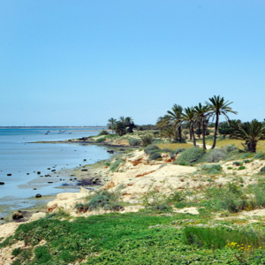 Djerba