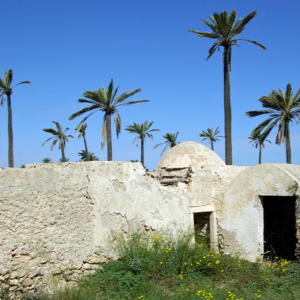 Menzel, Djerba