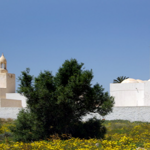 Mosques at Guellala, Djertba