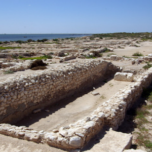 Meninx Roman site, Djerba - partially excavated area