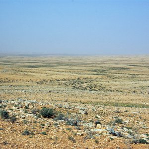 Stony desert south of Ksar Ghilane