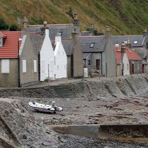 Crovie