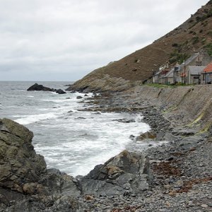Crovie