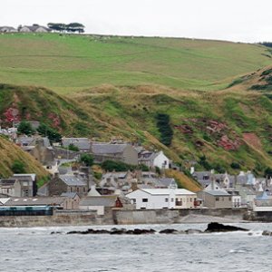 Crovie