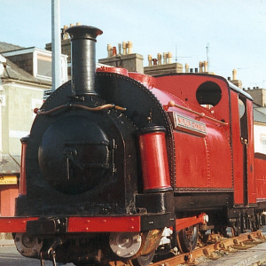 Welsh Pony on display outside Porthmadog Harbour Station