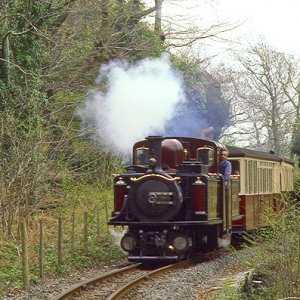 Merddin Emrys in Coed Cae Fali