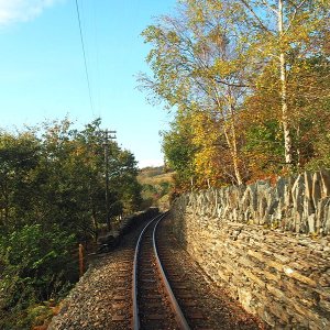 Restricted clearnace along the line, Coed Cai Fali