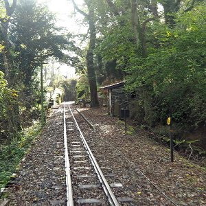 Plas Halt