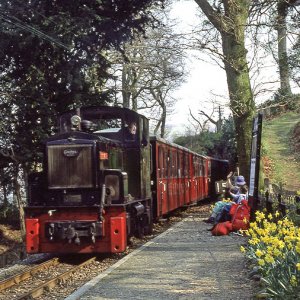 Plas Halt
