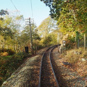 Footpaths cross the line