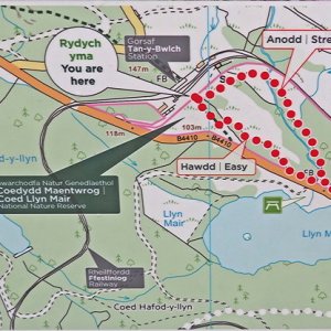 Narture trail from Tan y Bwlch station