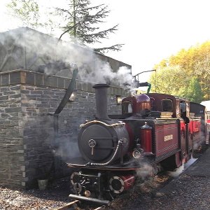 Merddin Emrys at Tan y Bwlch