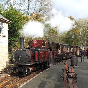 Merddin Emrys at Tan y Bwlch