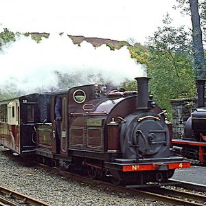 Palmerston and Lilla at Tan y Bwlch, 1990s