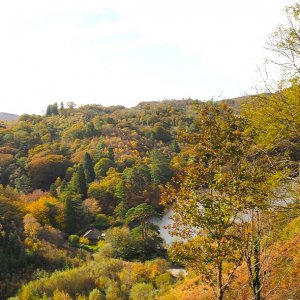 Llyn Mair (autumn)