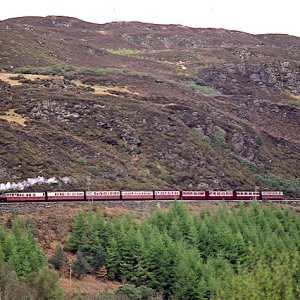 Hillside above Tan y Bwlch