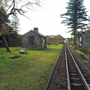 Dduallt Halt, 2020