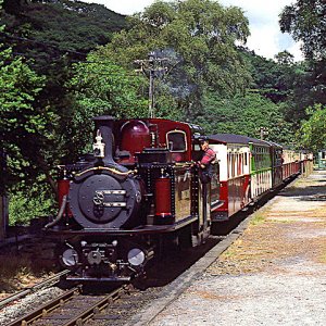 Merddin Emys at Dduallt Halt, 2020, 1980/90s