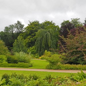 Harlow Carr Gardens