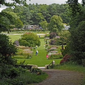 Harlow Carr Gardens