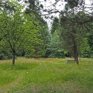 Harlow Carr Gardens