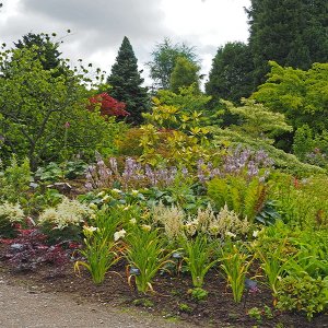 Harlow Carr Gardens