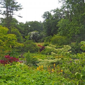 Harlow Carr Gardens
