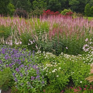 Harlow Carr Gardens
