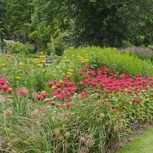 Harlow Carr Gardens