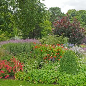 Harlow Carr Gardens