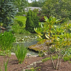 Harlow Carr Gardens