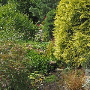 Harlow Carr Gardens