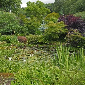Harlow Carr Gardens